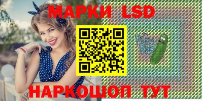 Альфа ПВП Моздок