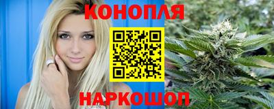 Альфа ПВП Моздок