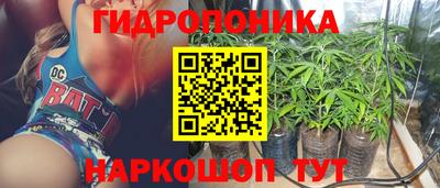 Альфа ПВП Моздок
