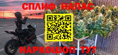 Альфа ПВП Моздок