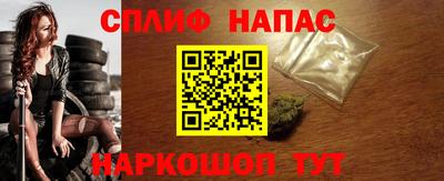 Альфа ПВП Моздок