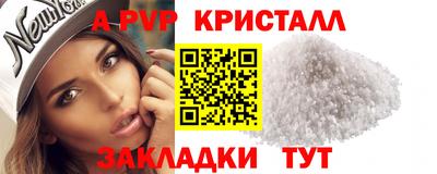 PSILOCYBIN Можга